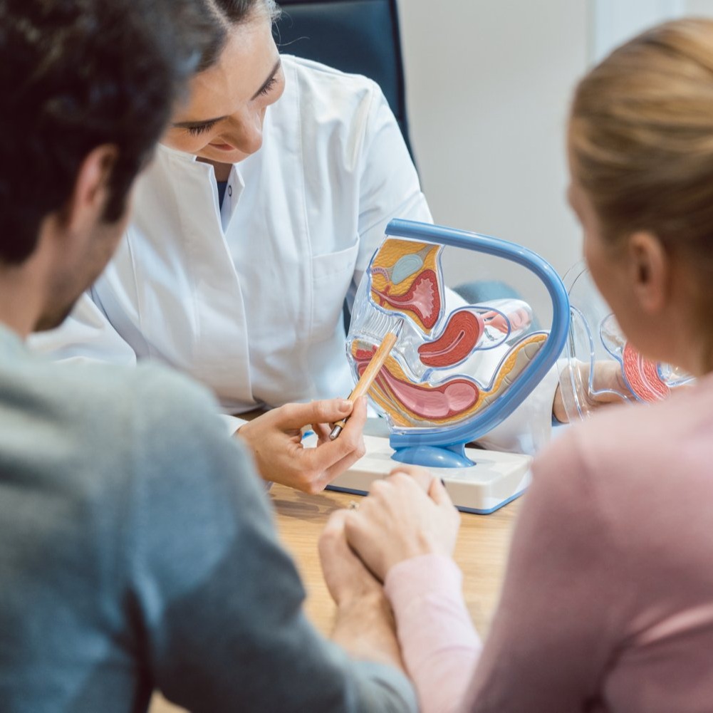 Initial Fertility Physician Consultations in West Palm Beach