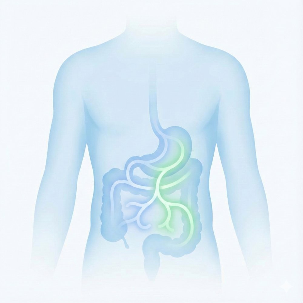 Illustration showing how tirzepatide weight loss medication targets two hormone pathways at Beyond Concierge Healthcare in Royal Palm Beach, FL